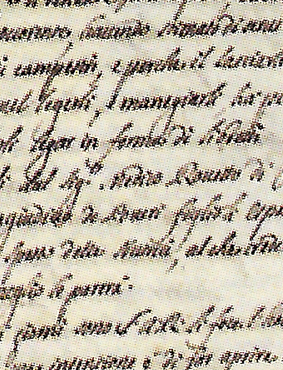Dichiarazioni del Vicario al Consiglio della Città sulle intenzioni del Duca