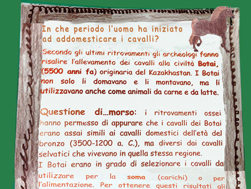 Storia del cavallo
